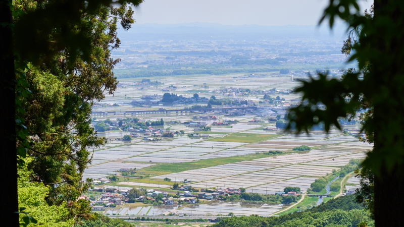 風景写真